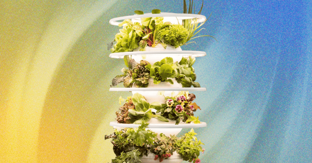 Lettuce Grow Indoor Farmstand Review: Grow Your Own