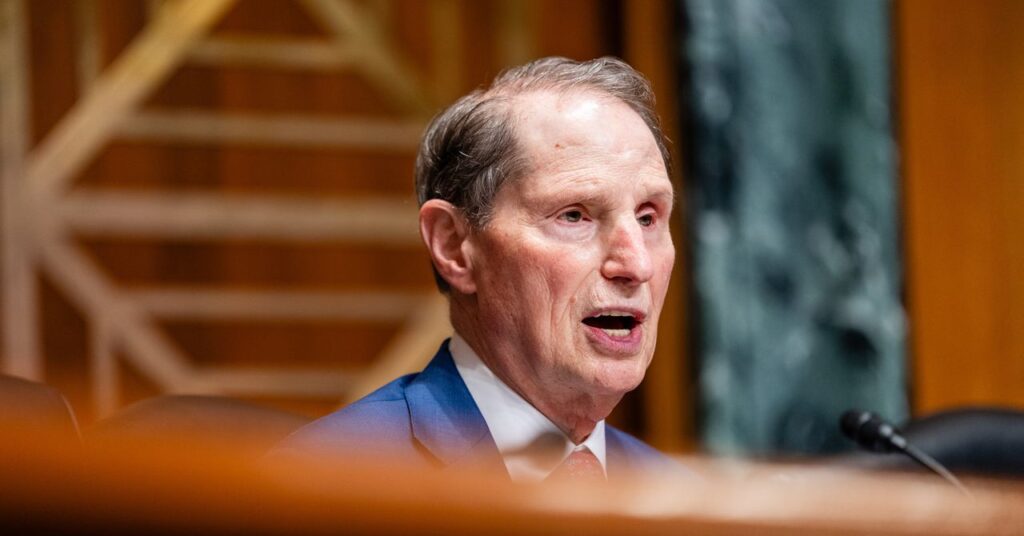 US Senator Urges DHS to Probe Whether Agents Were Moved From Criminal Cases to Deportations