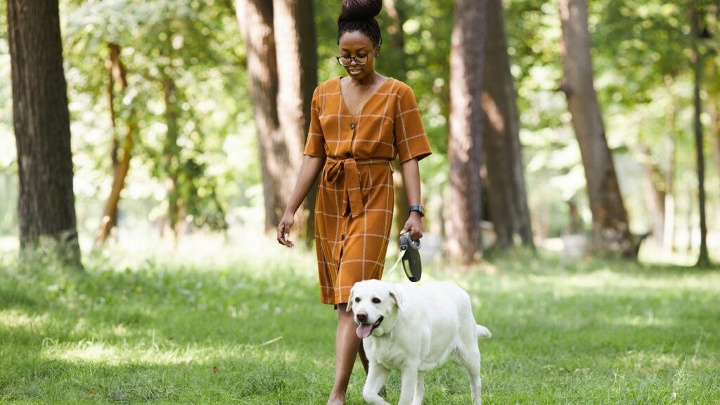 A person with brown hair up in a bun walking a white dog in a park surrounded by trees.