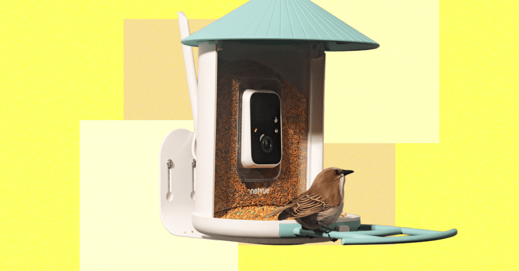 Best Bird Feeders With Cameras, Tested and Reviewed (2025)