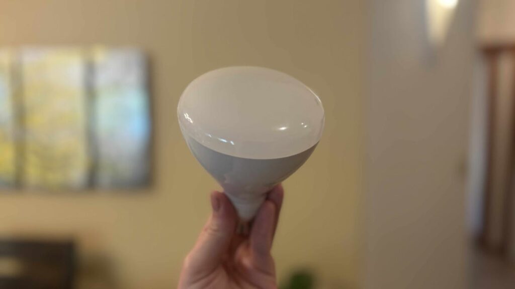 Best LED Floodlight Bulbs of 2025: Get Top-Tier Illumination