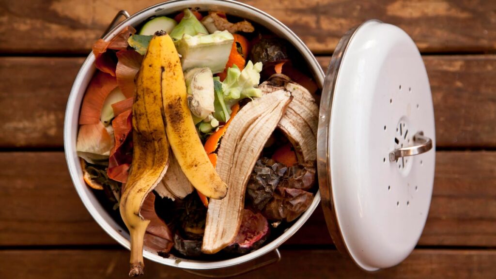 Get That Stinky Compost Off Your Counter. Here's Where Food Scraps Should Really Go