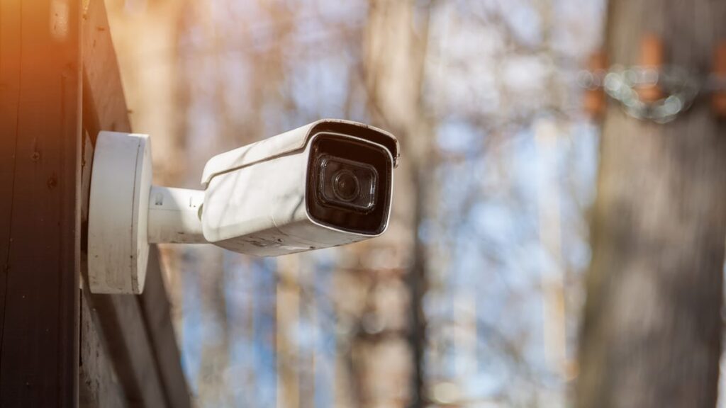 A security camera in a sunlit forest.