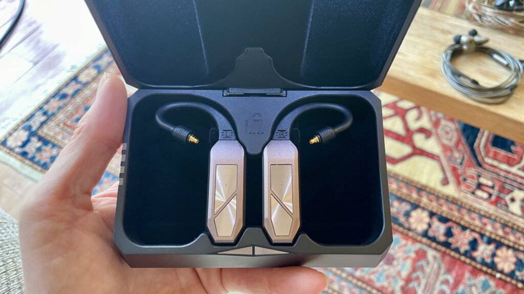 iFi Go Pod in a hand, with high-end wired earbuds and in the case, which accepts even larger earbuds