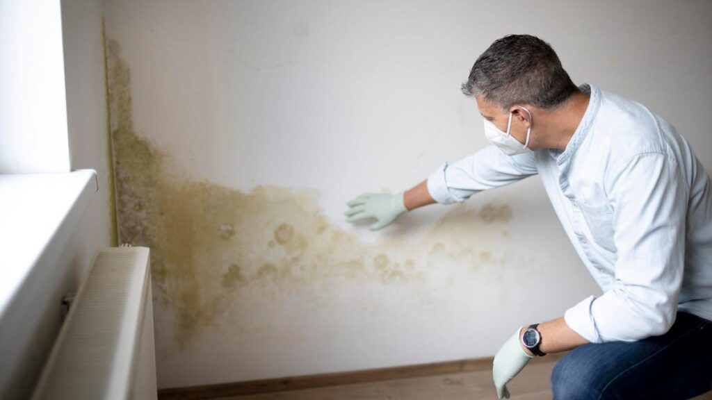 An Expert Shares the 7 Most Common Places Mold Is Hiding in Your Home