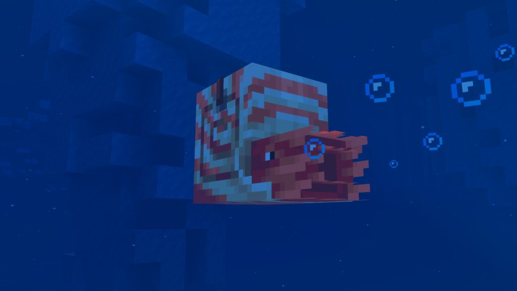 Minecraft LIVE Mounts of Mayhem nautilus in cold ocean