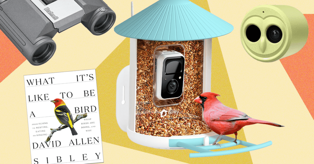 The 15 Best Tried and Tested Gifts for Bird Lovers (2025)