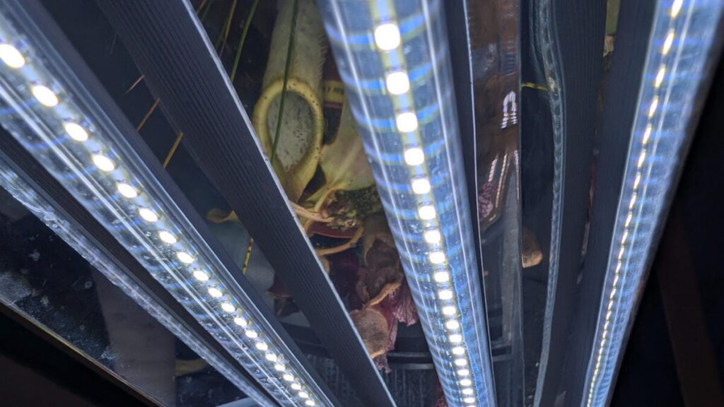 grow light with full spectrum leds