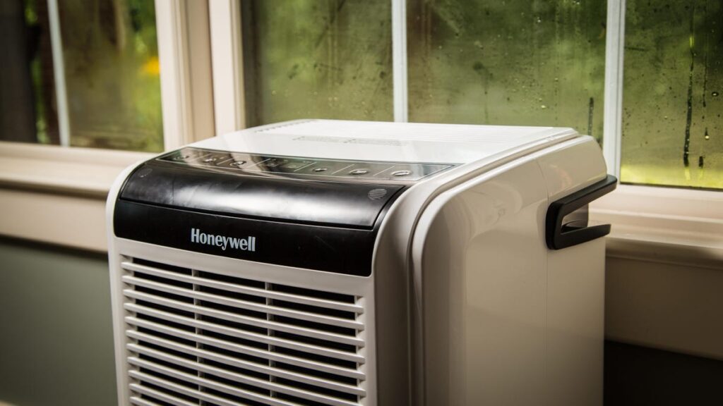 Best Dehumidifiers for 2025 - CNET