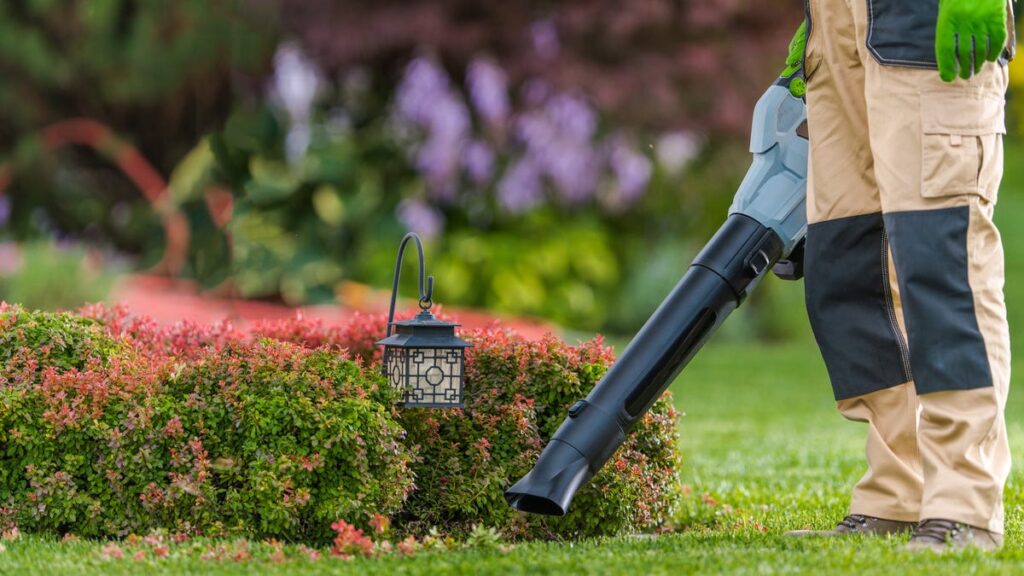 Best Leaf Blowers for 2025