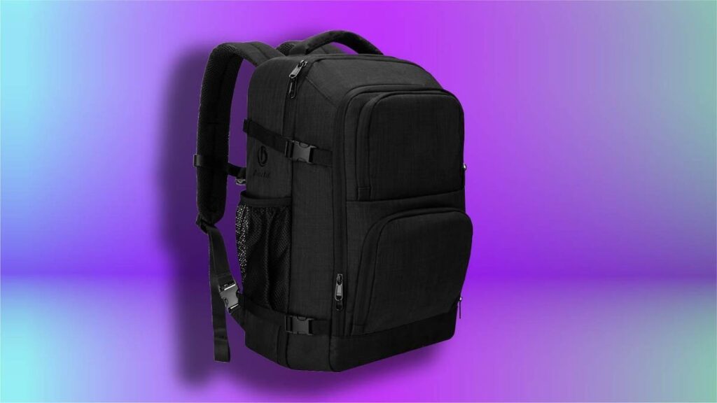 dinictis backpack in black