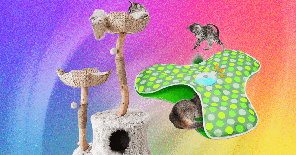 The Best Cat Toys for Your Furry Friend (2025)