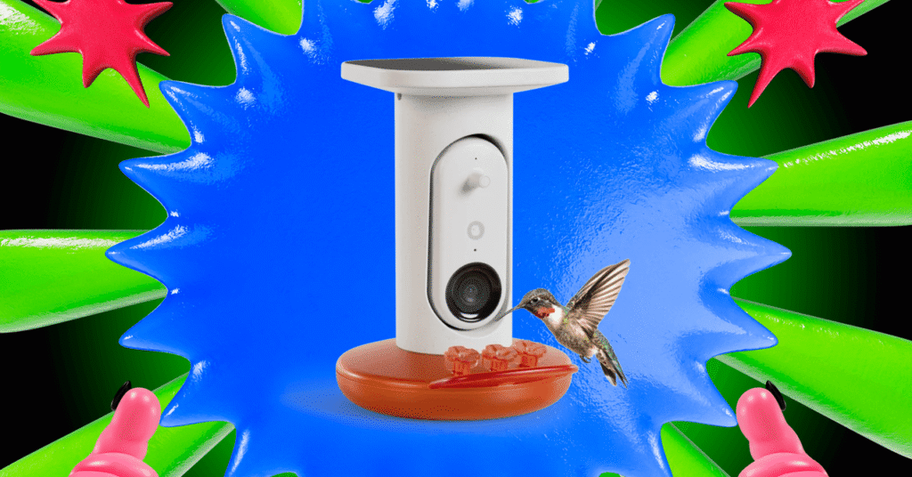 This Is the Best Smart Hummingbird Feeder I've Tested, and It's $50 off Right Now