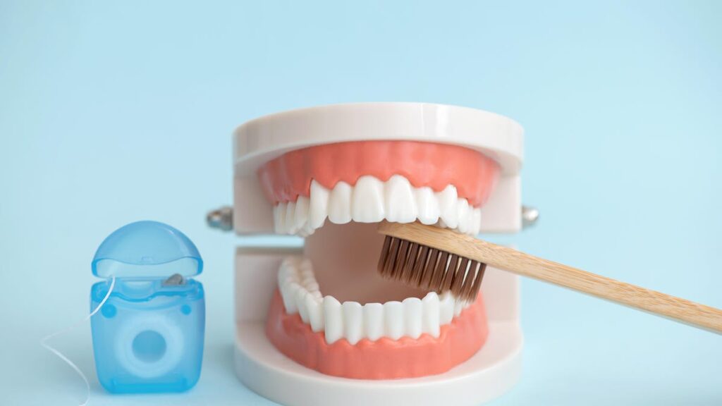 A toothbrush brushes a model of teeth. A blue pack of dental floss sits next to it.